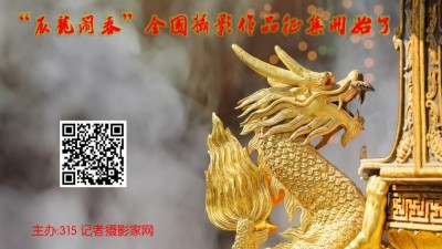 315記者攝影家網“辰龍鬧春”全國攝影作品征集開始了