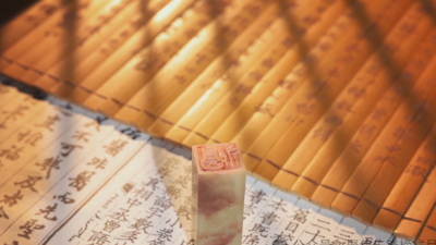 中央新影發現之旅頻道播出——《亮子著書》