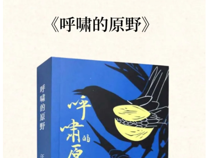 汪群《呼嘯的原野》入選中國 “首屆農村題材文學作品推薦書目”
