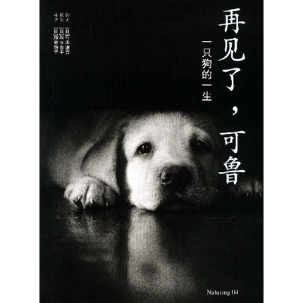 【閱獨】它是你心中最溫暖的一滴淚