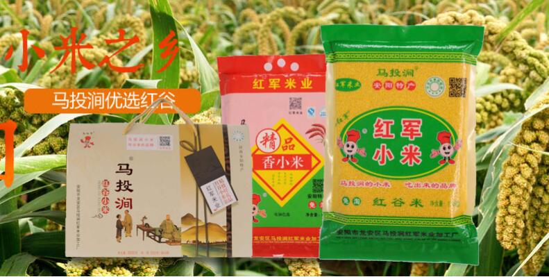 家鄉的“馬投澗小米”（隨筆）